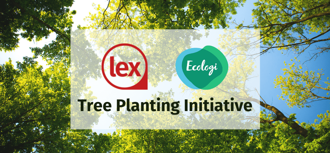 Tree Planting Initiative